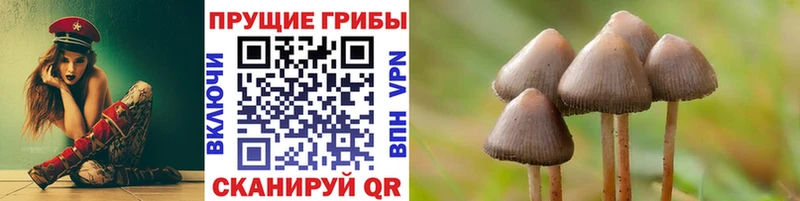 Галлюциногенные грибы Psilocybe  где можно купить   Чухлома 